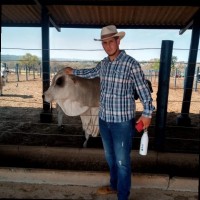 Matheus Siqueira