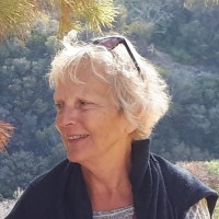 Celine Braillon