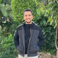 Mohanad Al Ashry