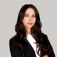 Elan Karakut