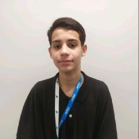 Pedro Henrique Brito Borges