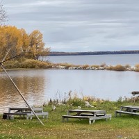 Chaise Shiell