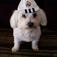 Pepa Guapo