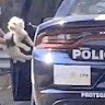 Cutter Garcia