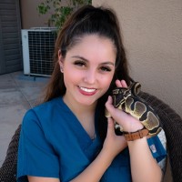Erin Cavazos