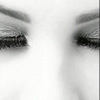 الضﻻم طيور