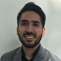 David Hernandez Sotomayor, Cpa