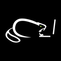 Beavers In