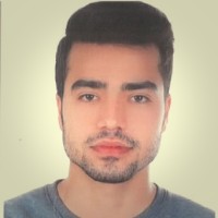 hossein torabi