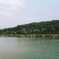 Hong Fu