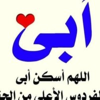 محمد عبدالفتاح