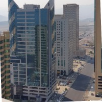 Al Awadhi