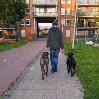Dennis Van Den Heuvel