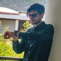 Raj Aryan