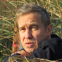 mauro mattei
