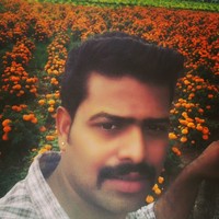 Vipin A V