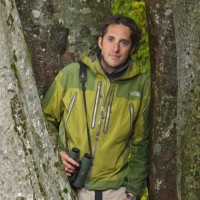 Francesco Tomasinelli