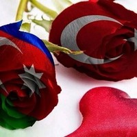 Seadet Suleymanova