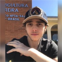 Luiz Otavio Cellere
