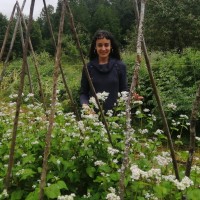 Odette Johnson Veillon