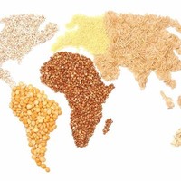 AGRO COMMODITIES