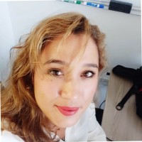 Claudia Veldkamp, Meng, Pmp, Scm