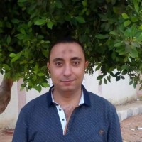 Mohamed Ahmed Abdel-Fattah