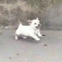 陈雨萌
