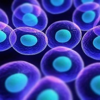 BIO-STEMCELL WELLNESS CENTER