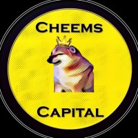 Ceo Cheems Capital token