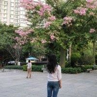 付志艳