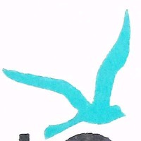 Shoebird Accounts
