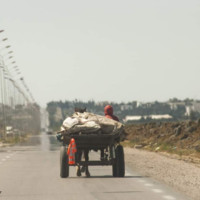 Riadh Jarray