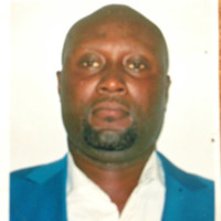 brice davy niambi