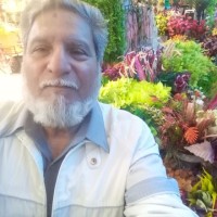 Mohammed Parvez Butt