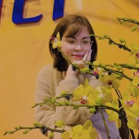 Ly Ly Nguyen