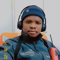 Williem Ngwenya