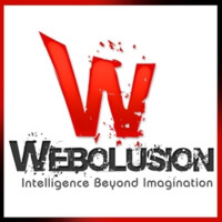 Webolusion Techventure Pvt. Ltd.