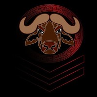 Buffalo Financial