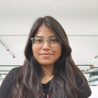 Akriti Singh