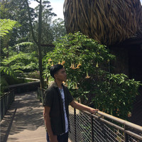 Muhammad Afrizal