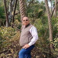 Pradeep Bhargava