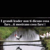David Ciampini