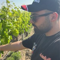 mustafa harman