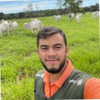 Joao Vitor Anjos