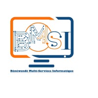 Informatique BMS