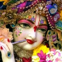 Srini Vasa