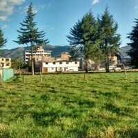 JOANA RODRIGUEZ FLORINDEZ