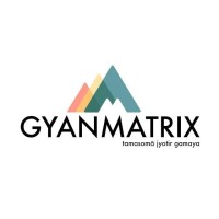Digital Media Executive