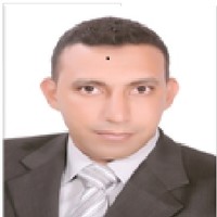 Hossam Ayoub